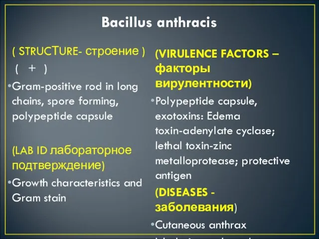 Bacillus anthracis ( STRUCТURE- строение ) ( + ) Gram-positive rod in