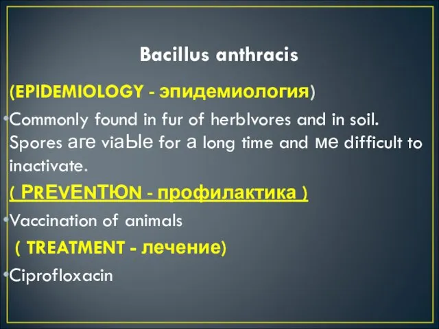 Bacillus anthracis (EPlDEMIOLOGY - эпидемиология) Commonly found in fur of herblvores and