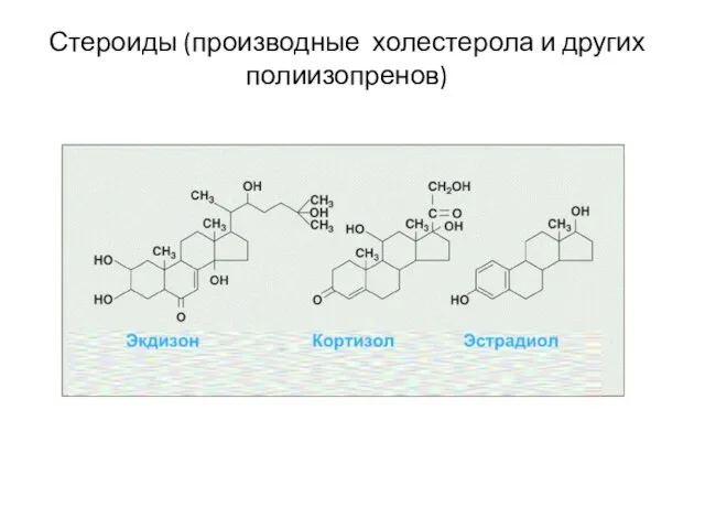 Стероиды (производные холестерола и других полиизопренов)