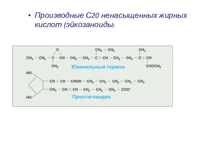 Производные С20 ненасыщенных жирных кислот (эйкозаноиды)