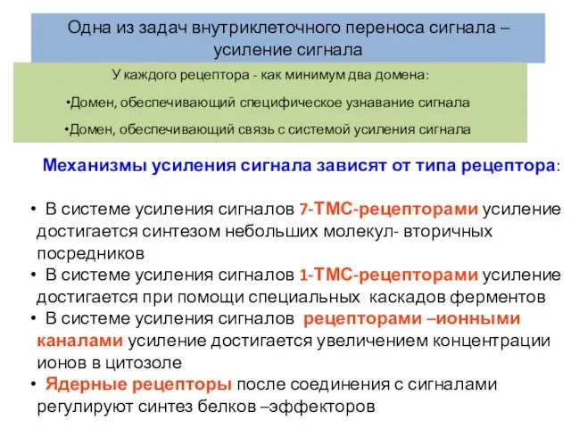 Одна из задач внутриклеточного переноса сигнала – усиление сигнала Механизмы усиления сигнала