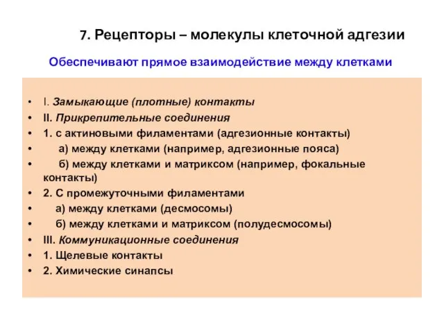 Обеспечивают прямое взаимодействие между клетками I. Замыкающие (плотные) контакты II. Прикрепительные соединения