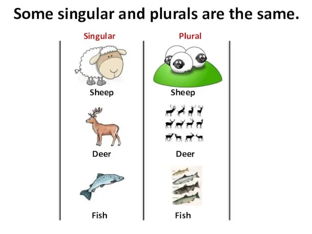 Some singular and plurals are the same. Sheep Deer Fish Sheep Deer Fish Singular Plural