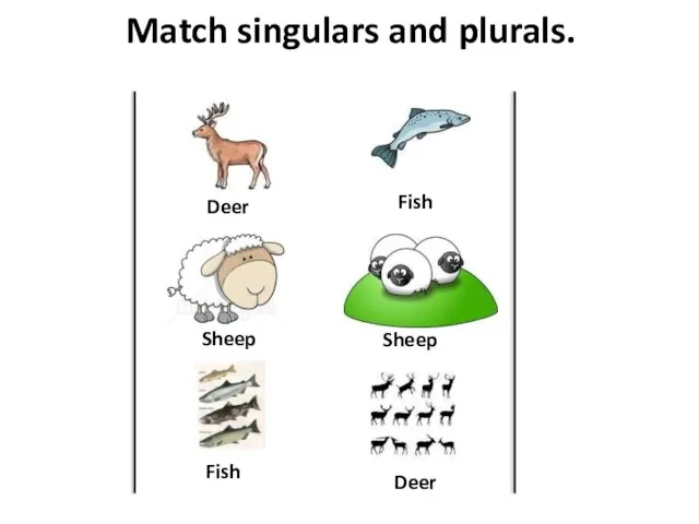 Match singulars and plurals. Sheep Deer Fish Sheep Deer Fish