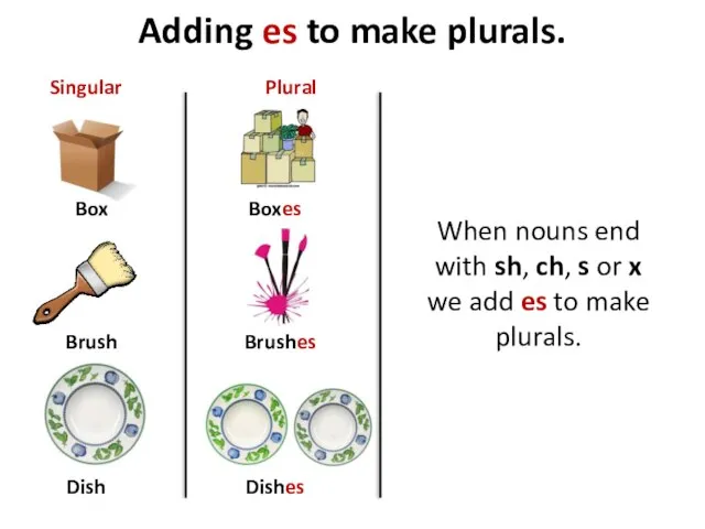 Adding es to make plurals. Box Brush Dish Boxes Brushes Dishes Singular