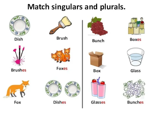 Match singulars and plurals. Box Brush Dish Boxes Brushes Dishes Foxes Fox Bunch Bunches Glasses Glass