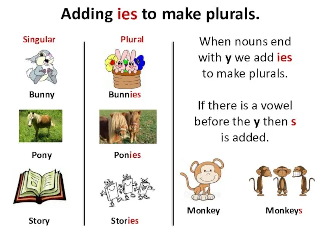 Adding ies to make plurals. Bunny Pony Story Bunnies Ponies Stories Singular