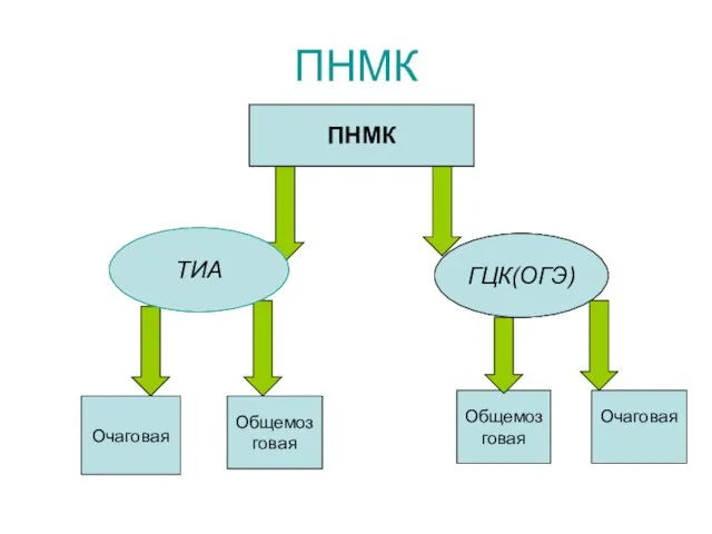 ПНМК ПНМК ОГЭ ТИА Очаговая Общемоз говая Общемоз говая Очаговая ПНМК ГЦК(ОГЭ) ТИА