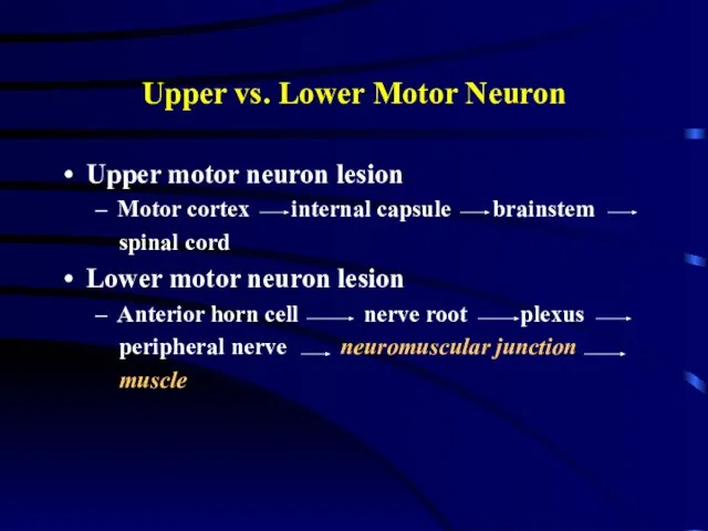 Upper vs. Lower Motor Neuron Upper motor neuron lesion Motor cortex internal