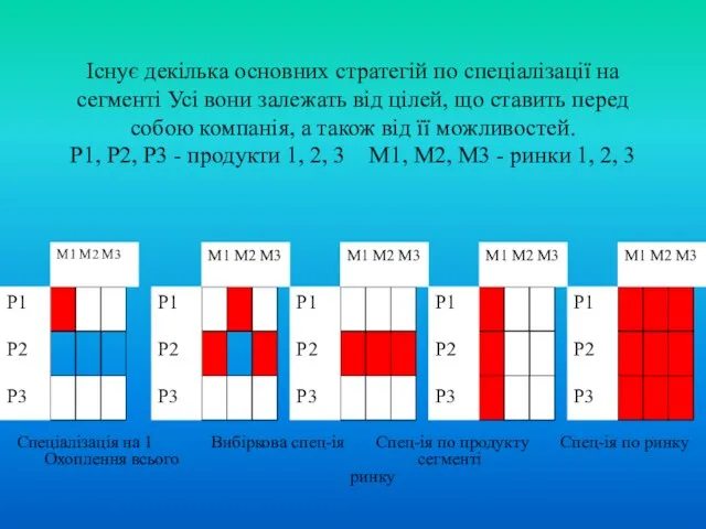 Існує декілька основних стратегій по спеціалізації на сегменті Усі вони залежать від