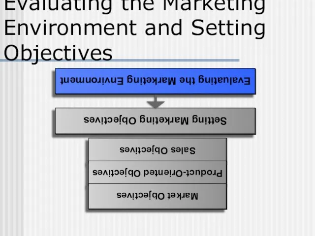 Evaluating the Marketing Environment and Setting Objectives Evaluating the Marketing Environment Setting