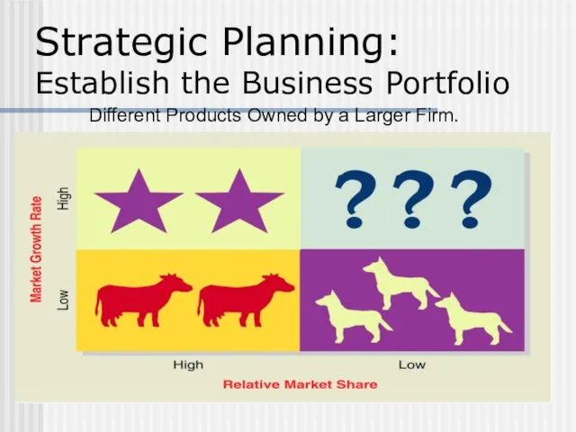 Strategic Planning: Establish the Business Portfolio Different Products Owned by a Larger Firm.