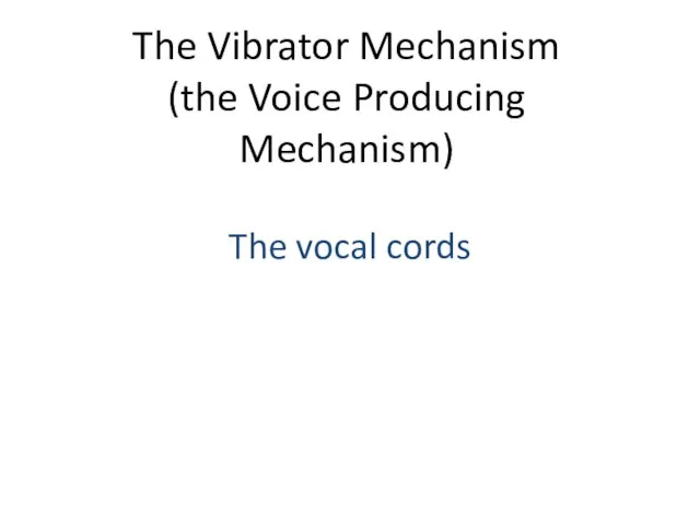 The Vibrator Mechanism (the Voice Producing Mechanism) The vocal cords