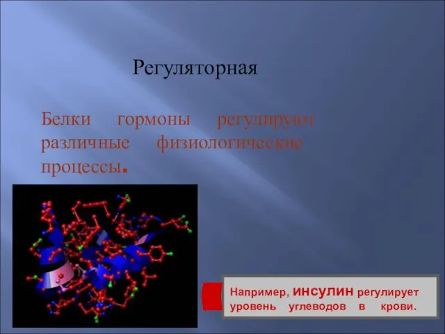 Регуляторная Белки гормоны регулируют различные физиологические процессы. Например, инсулин регулирует уровень углеводов в крови.