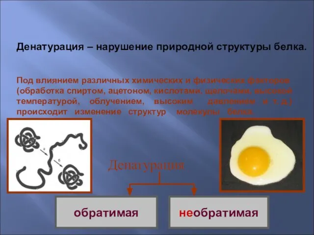 Денатурация – нарушение природной структуры белка. Денатурация Под влиянием различных химических и