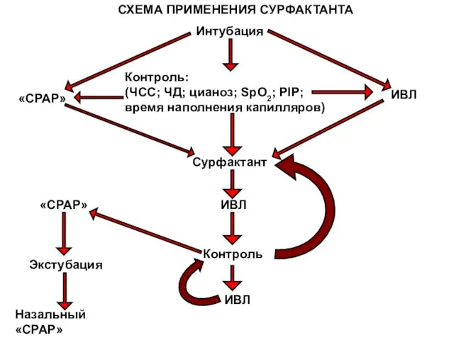 Интубация Контроль: (ЧСС; ЧД; цианоз; SpO2; PIP; время наполнения капилляров) «СРАР» ИВЛ