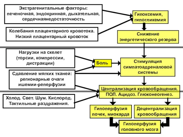 Гипоксемия, гипогликемия Снижение энергетического резерва Боль Стимуляция симпатоадреналовой системы Холод. Свет. Шум.