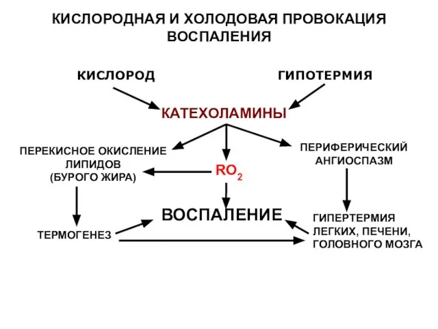 КИСЛОРОДНАЯ И ХОЛОДОВАЯ ПРОВОКАЦИЯ ВОСПАЛЕНИЯ КИСЛОРОД ГИПОТЕРМИЯ КАТЕХОЛАМИНЫ ПЕРИФЕРИЧЕСКИЙ АНГИОСПАЗМ ГИПЕРТЕРМИЯ ЛЕГКИХ,