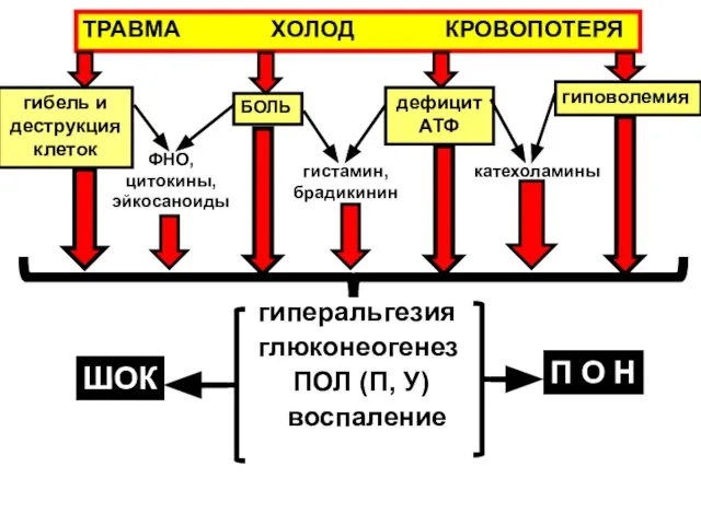 ТРАВМА ХОЛОД КРОВОПОТЕРЯ гибель и деструкция клеток гиповолемия катехоламины ФНО, цитокины, эйкосаноиды