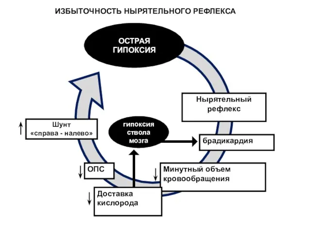 ОПС Шунт «справа - налево» гипоксия ствола мозга брадикардия Нырятельный рефлекс ОСТРАЯ