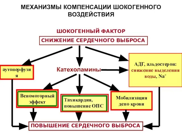 МЕХАНИЗМЫ КОМПЕНСАЦИИ ШОКОГЕННОГО ВОЗДЕЙСТВИЯ ШОКОГЕННЫЙ ФАКТОР СНИЖЕНИЕ СЕРДЕЧНОГО ВЫБРОСА аутоперфузия Мобилизация депо