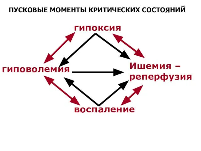 ПУСКОВЫЕ МОМЕНТЫ КРИТИЧЕСКИХ СОСТОЯНИЙ гипоксия гиповолемия Ишемия – реперфузия воспаление