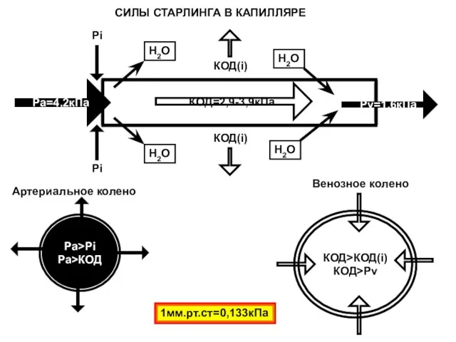 Ра=4,2кПа Рv=1,6кПа КОД=2,9-3,9кПа H2O H2O H2O H2O Pi Pi КОД(i) КОД(i) Pa>Pi