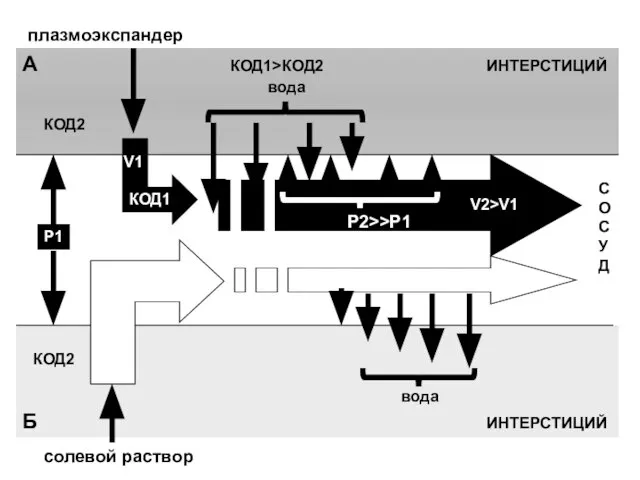 КОД1>КОД2 КОД1 КОД2 Р1 Р2>>P1 вода V1 V2>V1 плазмоэкспандер V1 КОД1=0 КОД2