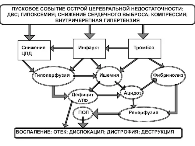 Снижение ЦПД Гипоперфузия Ацидоз Реперфузия Инфаркт Ишемия Тромбоз ВОСПАЛЕНИЕ: ОТЕК; ДИСЛОКАЦИЯ; ДИСТРОФИЯ;