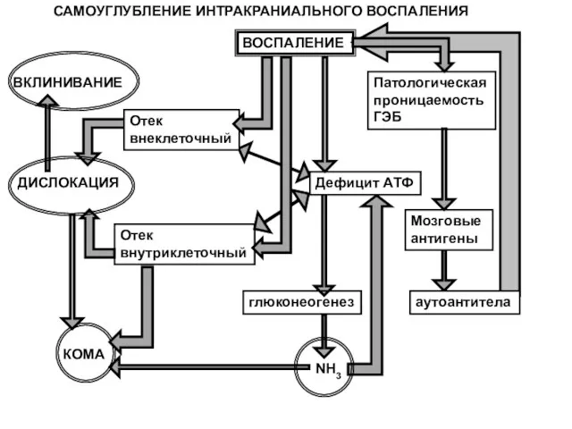 ВОСПАЛЕНИЕ КОМА ВКЛИНИВАНИЕ Отек внеклеточный Отек внутриклеточный ДИСЛОКАЦИЯ Дефицит АТФ глюконеогенез NH3