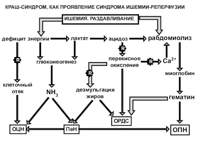 дефицит энергии клеточный отек глюконеогенез NH3 лактат ацидоз рабдомиолиз перекисное окисление деэмульгация