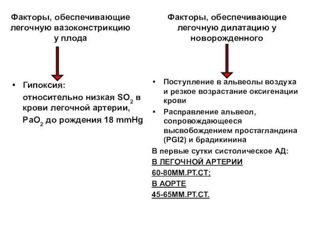 Факторы, обеспечивающие легочную вазоконстрикцию у плода Гипоксия: относительно низкая SО2 в крови