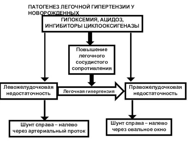 ГИПОКСЕМИЯ, АЦИДОЗ, ИНГИБИТОРЫ ЦИКЛООКСИГЕНАЗЫ Повышение легочного сосудистого сопротивления Левожелудочковая недостаточность Правожелудочковая недостаточность