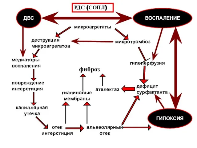 микроагрегаты микротромбоз гипоперфузия дефицит сурфактанта ателектаз деструкция микроагрегатов медиаторы воспаления повреждение интерстиция