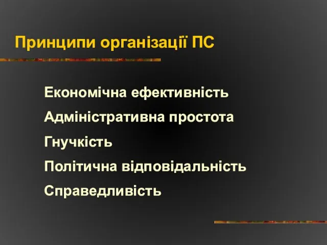 Принципи організації ПС Економічна ефективність Адміністративна простота Гнучкість Політична відповідальність Справедливість