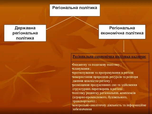 Регіональна політика Державна регіональна політика Регіональна економічна політика