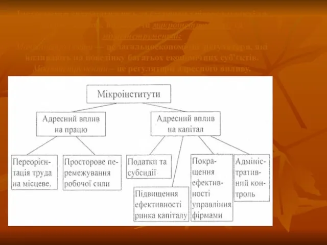 Інструменти систематизують за ступенем універсальності та широті впливу, виділяючи макроінструменти та мікроінструменти: