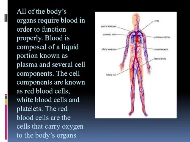All of the body’s organs require blood in order to function properly.