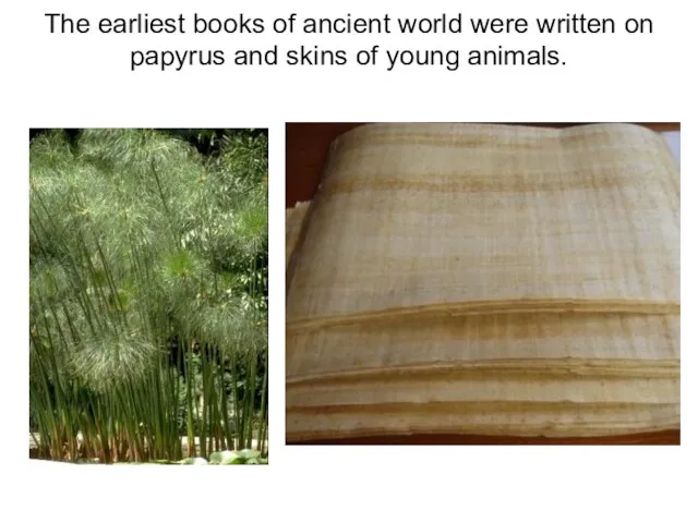 The earliest books of ancient world were written on papyrus and skins of young animals.
