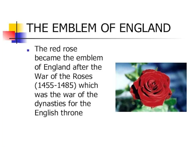 THE EMBLEM OF ENGLAND The red rose became the emblem of England