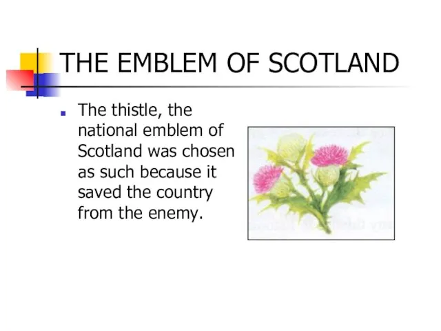 THE EMBLEM OF SCOTLAND The thistle, the national emblem of Scotland was