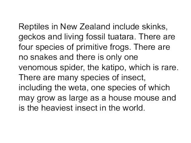 Reptiles in New Zealand include skinks, geckos and living fossil tuatara. There