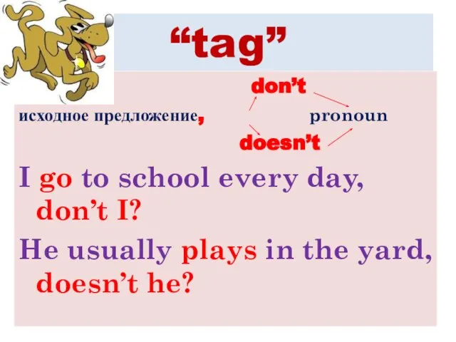 “tag” don’t исходное предложение, pronoun doesn’t I go to school every day,