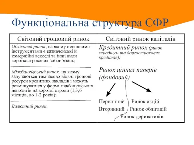 Функціональна структура СФР