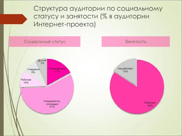 Занятость Социальный статус Структура аудитории по социальному статусу и занятости (% в аудитории Интернет-проекта)