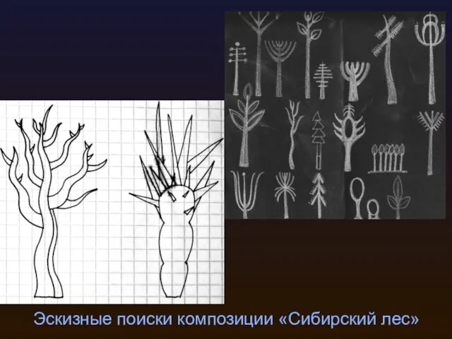 Эскизные поиски композиции «Сибирский лес»