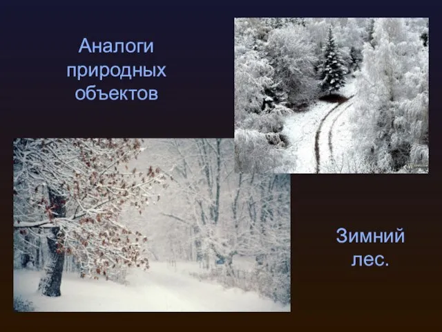 Аналоги природных объектов Зимний лес.