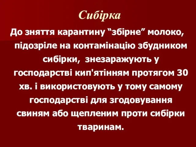 До зняття карантину “збірне” молоко, підозріле на контамінацію збудником сибірки, знезаражують у