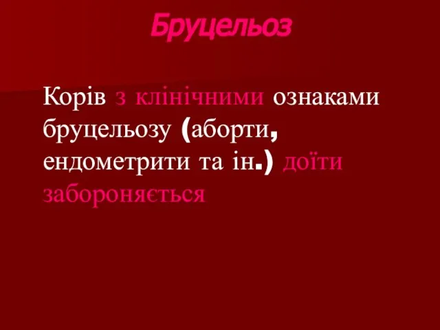 Бруцельоз Корів з клінічними ознаками бруцельозу (аборти, ендометрити та ін.) доїти забороняється