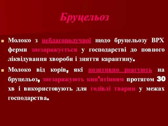 Молоко з неблагополучної щодо бруцельозу ВРХ ферми знезаражується у господарстві до повного